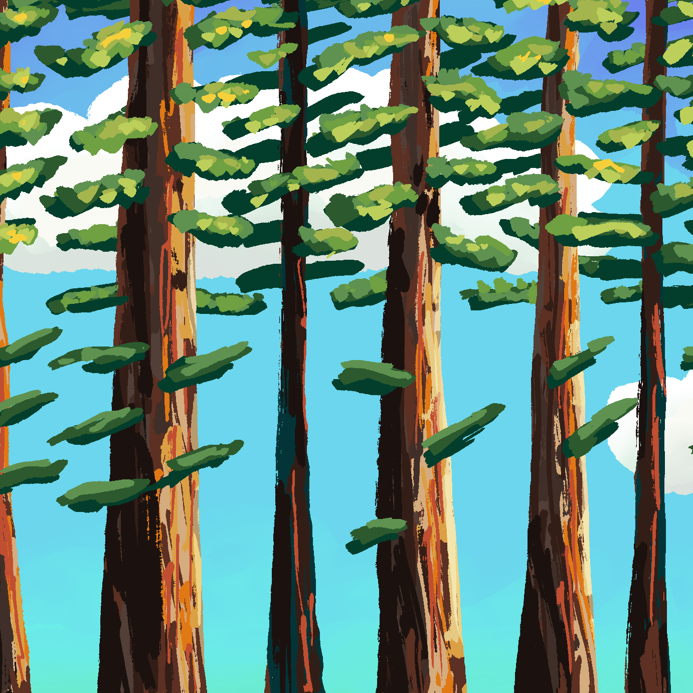 Artistic Redwoods