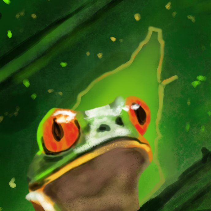 Frog in a Leaf