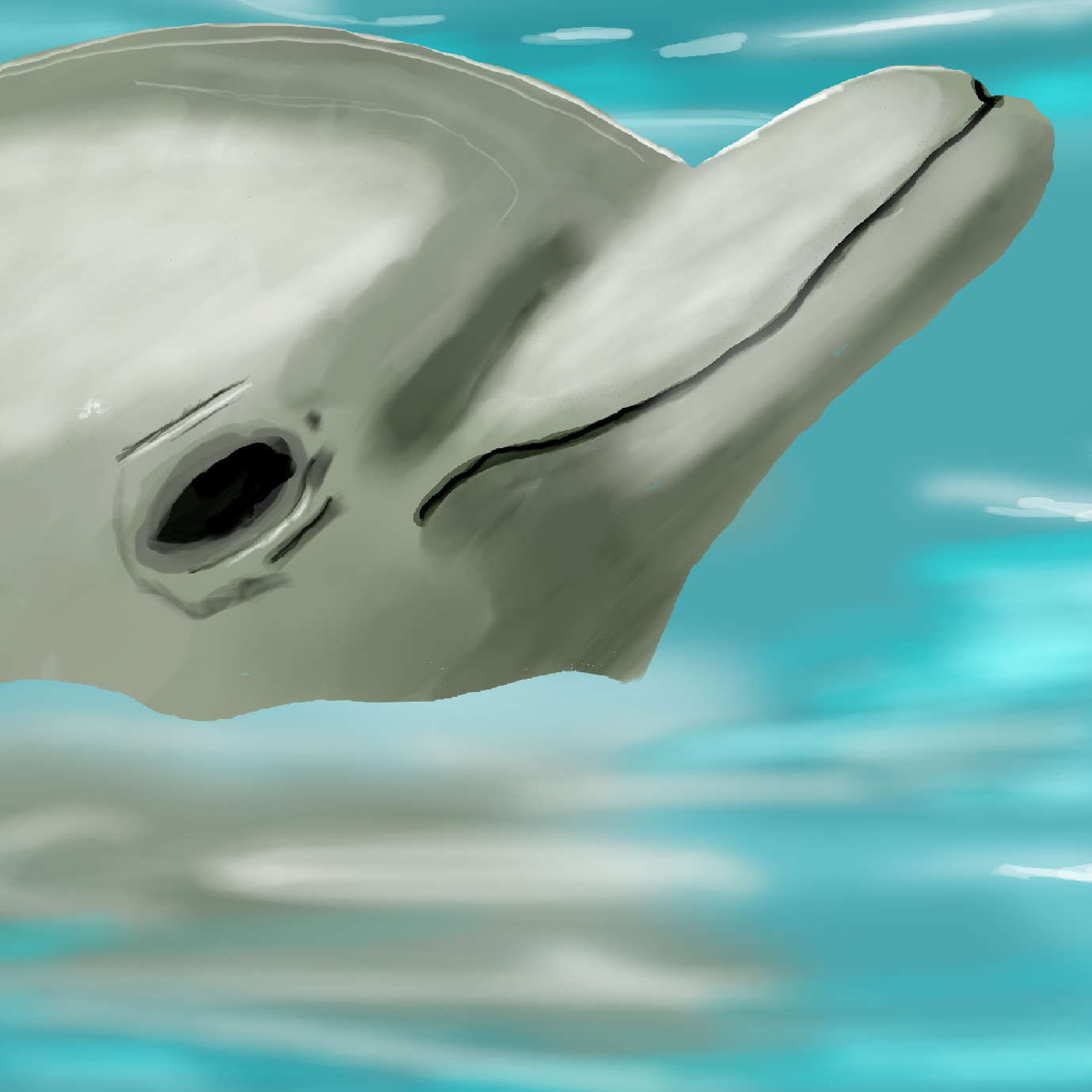 Happy Dolphin