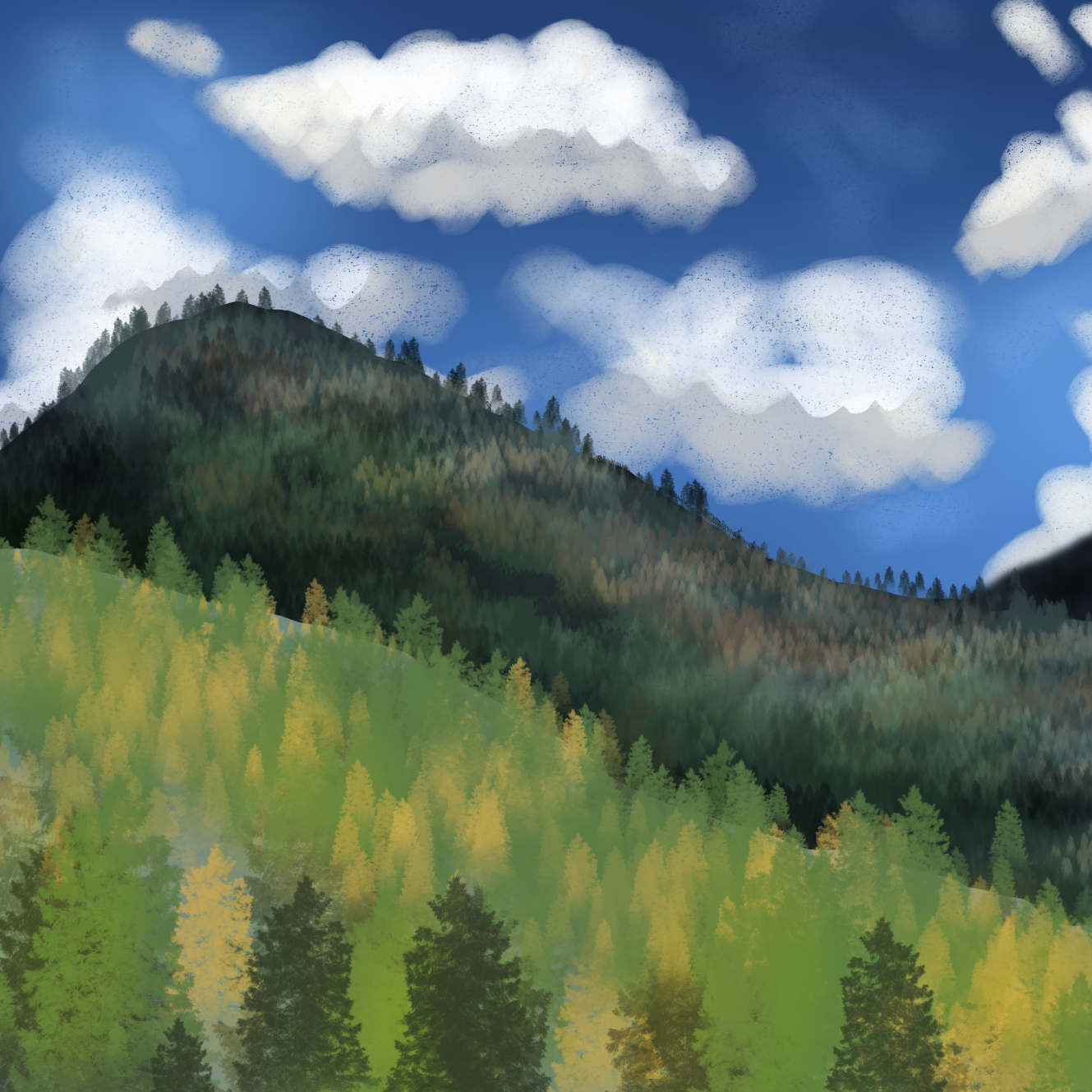 In the Mountains