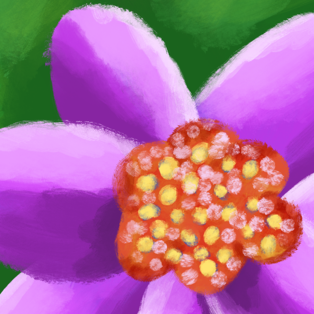 Purple Flower