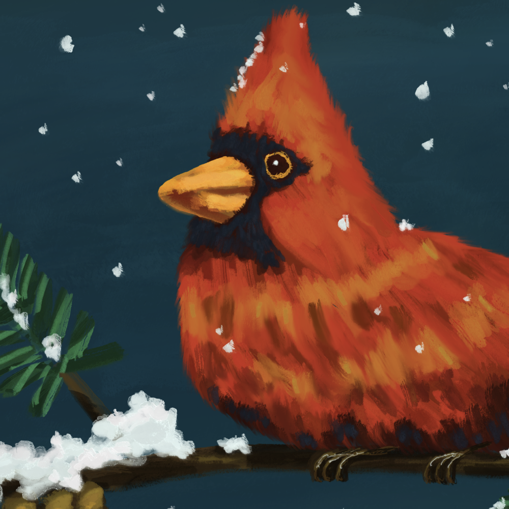 Winter Red Bird
